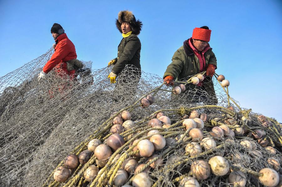 Local fishermen drag a huge fishing net out of water during an ice fishing event in the Chagan Lake in Qian Gorlos Mongolian Autonomous County, northeast China's Jilin Province, Dec. 27, 2012. (Xinhua/Wang Haofei)