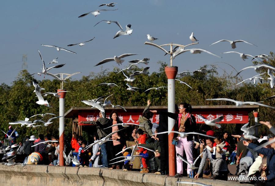 Citizens feed black-headed gulls beside the Dianchi Lake in Kunming, capital of southwest China's Yunnan Province, Dec. 28, 2012. More than 35,000 black-headed gulls have come to Kunming for winter this year. (Xinhua/Lin Yiguang) 