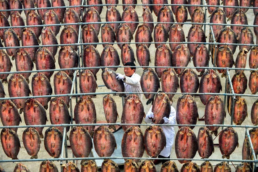 Farmers in Renhe county of Hangzhou dry herrings on Dec. 25 2012.As the Chinese New Year is approaching, the aquaculture farmers in Renhe county entered the harvest season. (Xinhua/Xu Yu)