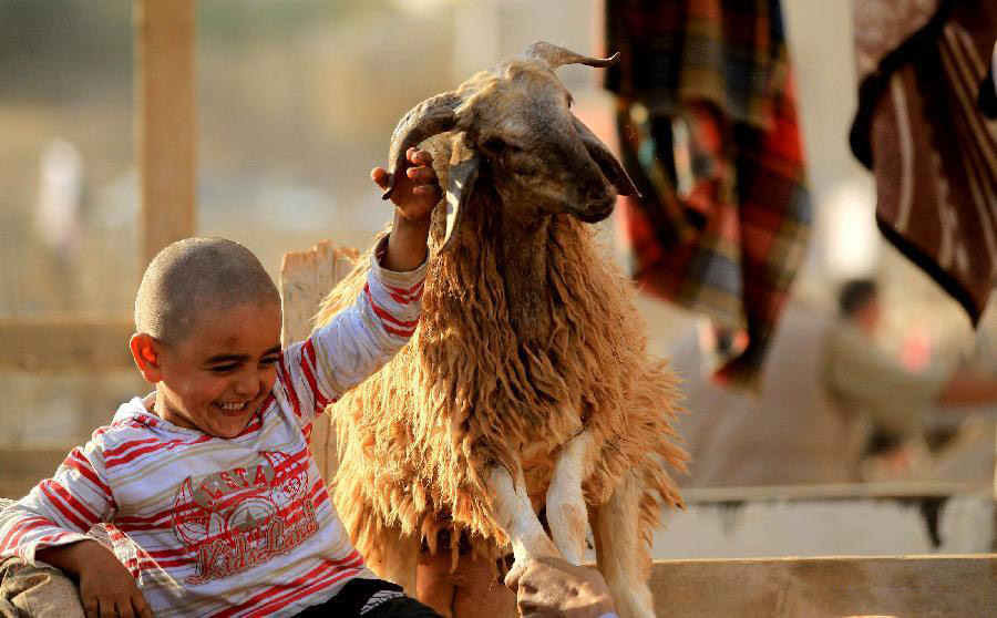 A Jordanian boy holds onto a goat at a livestock market ahead of Eid al-Adha festival in Amman, Jordan, on Oct. 25, 2012. Muslims around the world prepared to celebrate Eid Al-Adha on Oct. 26, by slaughtering goats, sheep, camels and cattle. (Xinhua/Mohammad Abu Ghosh) 