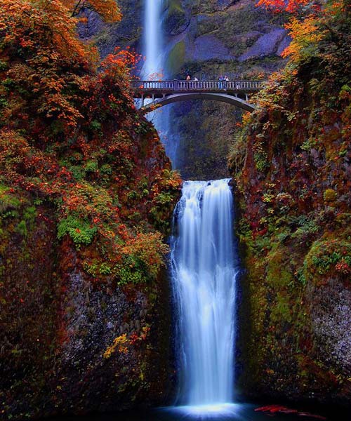 Multnomah Falls, Oregon, U.S. It is the tallest waterfall in the State of Oregon. (Photo/Xinhua)