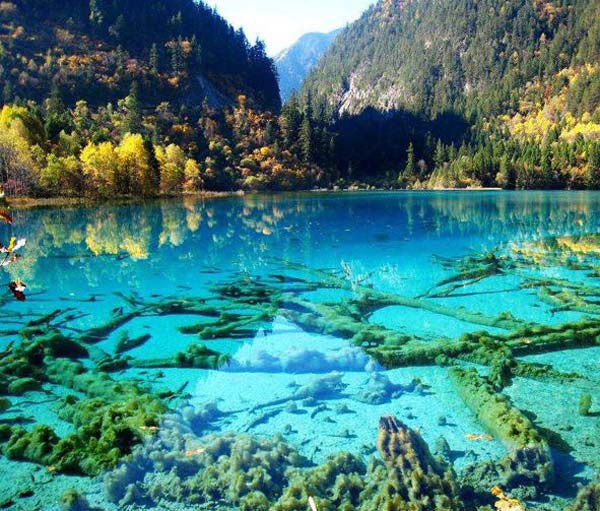 Crystalline Turquoise Lake in Jiuzhaigou National Park, China. (Photo/Xinhua)