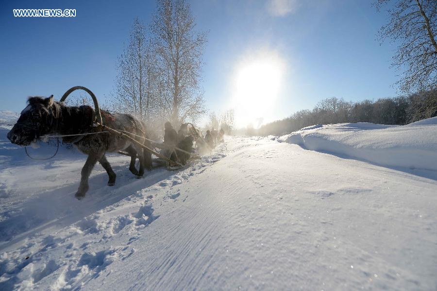 People take sledges in the snowfield in Altay, northwest China's Xinjiang Uygur Autonomous Region, Dec. 28, 2012. Beautiful snow scenery here attracts a good many tourists. (Xinhua/Sadat)