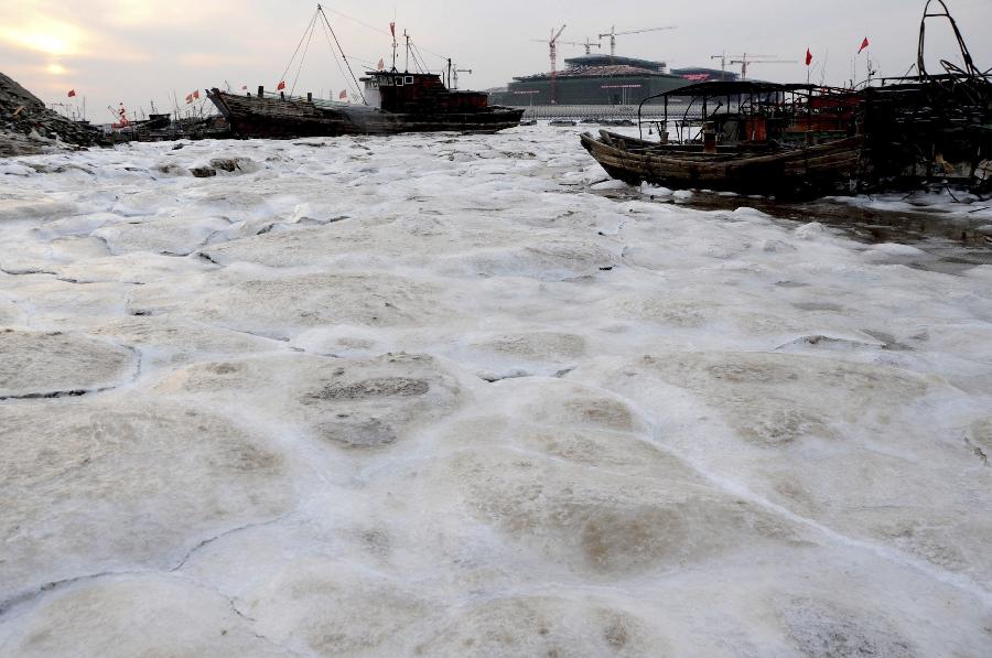 Photo taken on Jan. 3, 2013 shows the frozen sea surface off the coast of Lianyun District, Lianyungang, east China's Jiangsu Province. Sea ice continues to occur in some Chinese coastal provinces as a result of recent cold waves. (Xinhua/Wang Chun)