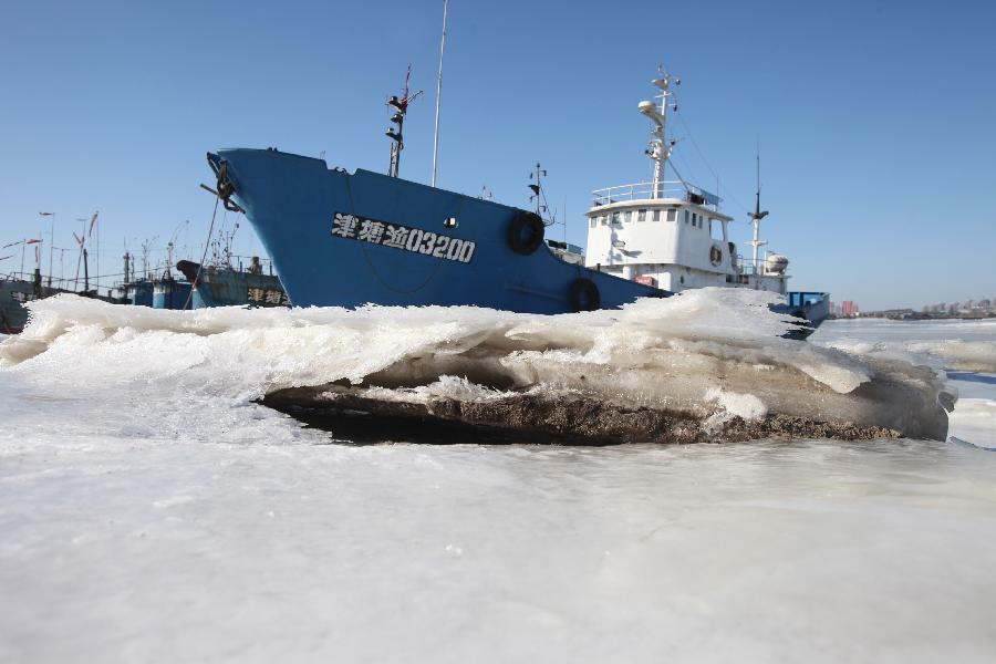Photo taken on Jan. 3, 2013 shows the frozen sea surface at the Beitang port in north China's Tianjin Municipality. Sea ice continues to occur in some Chinese coastal provinces as a result of recent cold waves. (Xinhua)