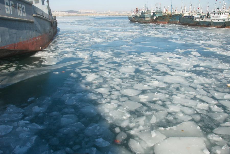 Photo taken on Jan. 3, 2013 shows massive sea ice near the Heizuizi fishing port in Dalian, northeast China's Liaoning Province. Sea ice continues to occur in some Chinese coastal provinces as a result of recent cold waves. (Xinhua/Geng Yuhe)