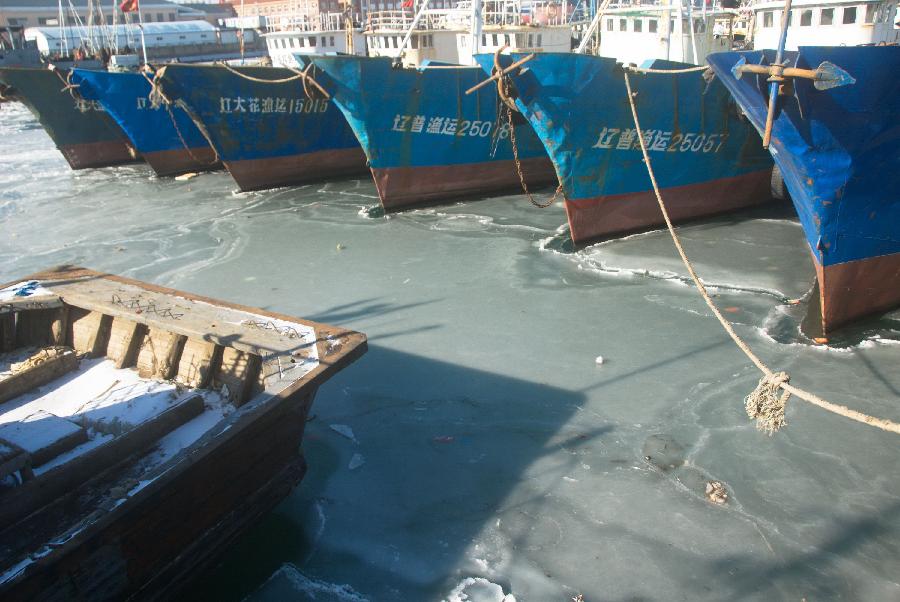 Photo taken on Jan. 3, 2013 shows the frozen sea surface at the Heizuizi fishing port in Dalian, northeast China's Liaoning Province. Sea ice continues to occur in some Chinese coastal provinces as a result of recent cold waves. (Xinhua/Wang Xizeng)