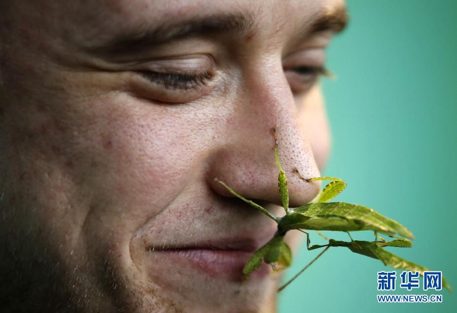 A jungle nymph rests on a zookeeper's nose. (Xinhua/Wang Lili)