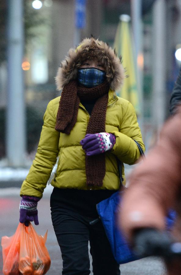 A woman walks on the Yangming Road in Nanchang City, capital of east China's Jiangxi Province, Jan. 5, 2013, the Slight Cold, the 23rd solar term according to the traditional Chinese lunar calendar. (Xinhua/Zhou Ke) 