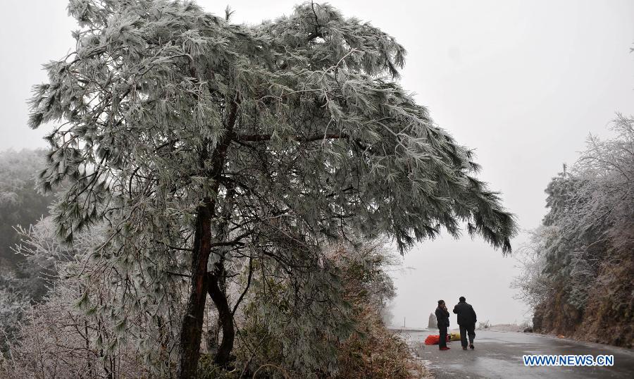 Visitors view the winter scenery on Mao'er Mountain in Guilin, south China's Guangxi Zhuang Autonomous Region, Jan. 7, 2013. (Xinhua/Lu Bo'an)