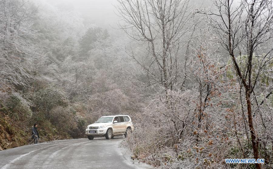 A vehicle moves among trees covered with icicles on Mao'er Mountain in Guilin, south China's Guangxi Zhuang Autonomous Region, Jan. 7, 2013. (Xinhua/Lu Bo'an)