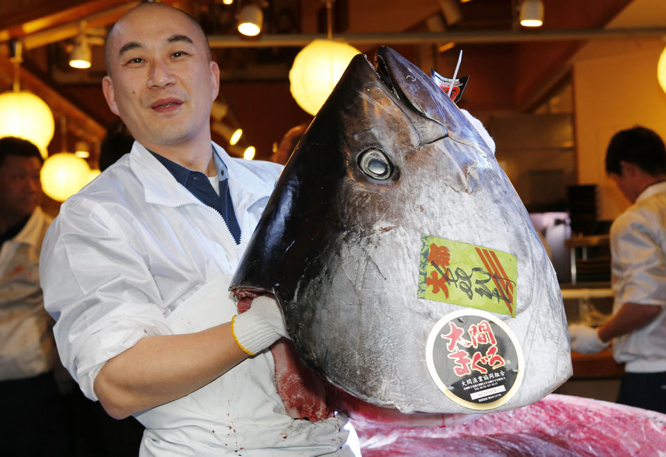 A chef proudly holds the head of a giant tuna. A 222-kilogram bluefin tuna sold for 1.76 million U.S. dollars – a new record for a single fish – at the first auction of 2013 at Tsukiji fish market, in Tokyo, Japan. The record bid was three times higher than in last year's auction. (Xinhua/AP)