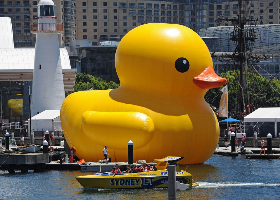 A gigantic, yellow rubber duck is floated into Sydney’s Darling Harbour on Jan. 5, 2013 to kick off Sydney's annual arts festival, a celebration which combines high-art with popular entertainment. (Xinhua/AFP)