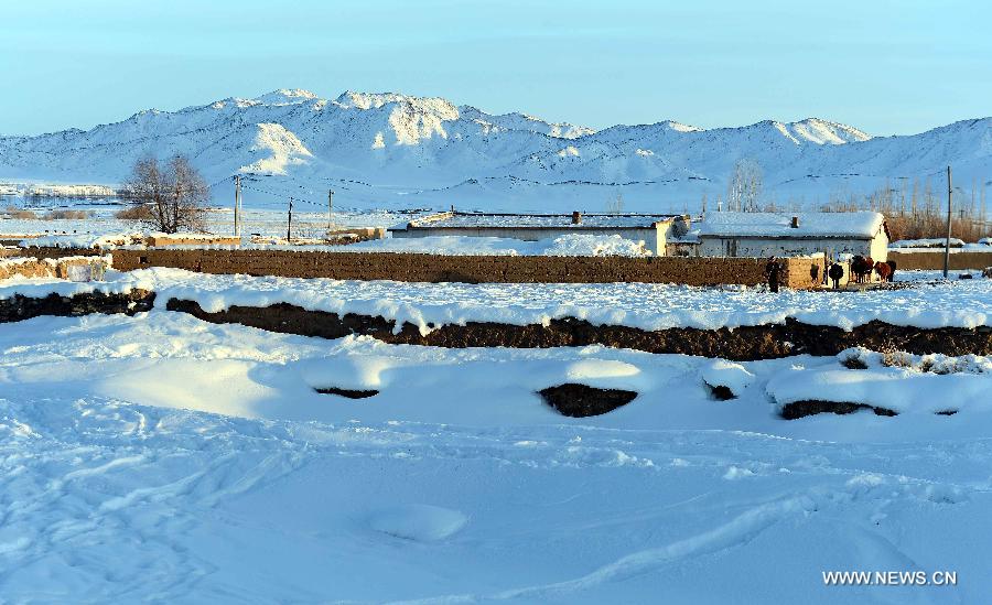 Photo taken on Jan. 8, 2013 shows the beautiful snow scenery of Qagan Gol Town in Qinghe County, northwest China's Xinjiang Uygur Autonomous Region. (Xinhua/Sadat)  