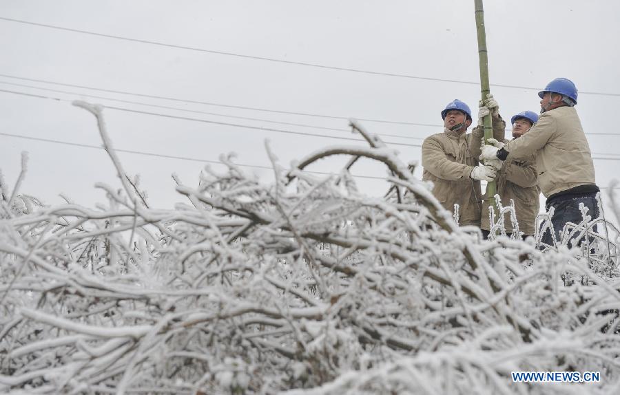 Workers carry a bamboo stick to clean the ice on the power line in Yongsha Village of Shuangliu Township in Kaiyang County, southwest China's Guiyang, Jan. 10, 2013. Local power grid company sent workers to clean power lines which couldn't melt the ice with automatic equipment. (Xinhua/Ou Dongqu)