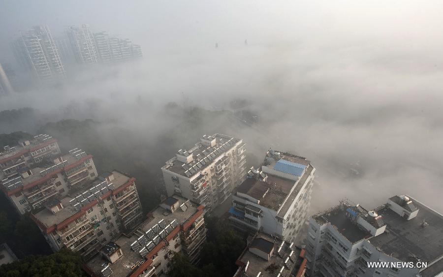 Buildings are seen amid dense fog in Wuhan City, capital of central China's Hubei Province, Jan. 12, 2013. (Xinhua/Cheng Min) 