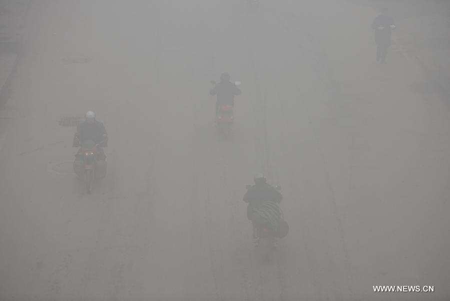 Citizens ride amid dense fog on a street in the Qingshanhu District of Nanchang City, capital of east China's Jiangxi Province, Jan. 12, 2013. A fog hit many parts of Jiangxi on Saturday. (Xinhua/Zhou Ke)