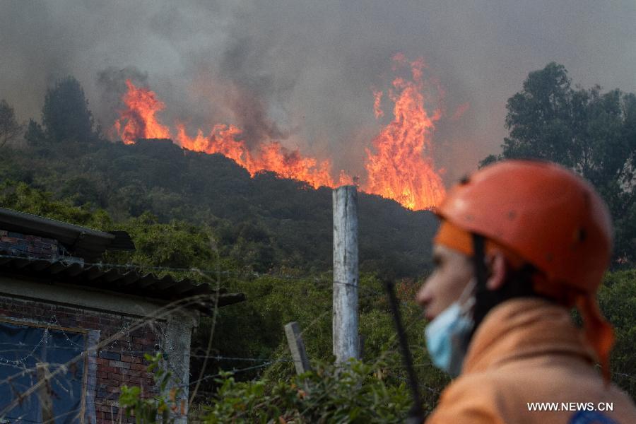 Members of Civil Defense try to extinguish a forest fire in Cota, on the outskirts of Bogota, Colombia, on Jan. 11, 2013. According to local press, four acres have been consumed by the fire, and about 30 families were evacuated. (Xinhua/Jhon Paz)