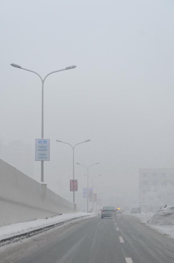 Photo taken on Jan. 13, 2013 shows the dense fog in Changchun, capital of northeast China's Jilin Province. Heavy fog hit Changchun on Sunday. (Xinhua/Zhang Nan) 