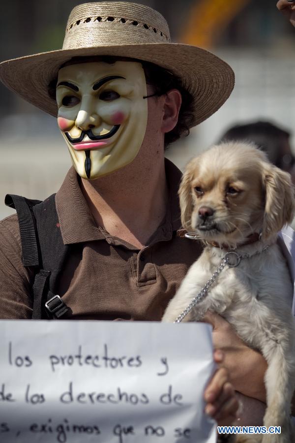 A man holds a dog during a demonstration after the police caught dozens of stray dogs, at Zocalo square in Mexico City, capital of Mexico, on Jan. 12, 2013. Animal rights activists on Saturday demanded the release of 25 stray dogs that had been apprehended in a park in connection with the deaths of five people. (Xinhua/Alejandro Ayala)