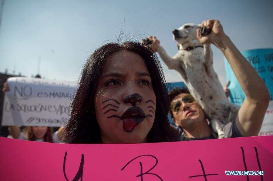 A woman holds up a placard next to a dog during a demonstration after the police caught dozens of stray dogs, at Zocalo square in Mexico City, capital of Mexico, on Jan. 12, 2013. Animal rights activists on Saturday demanded the release of 25 stray dogs that had been apprehended in a park in connection with the deaths of five people. (Xinhua/Alejandro Ayala) 