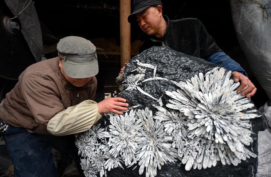 Craftsmen carry away a finished handicraft made of chrysanthemum stone in a workshop in Enshi, central China's Hubei Province, Jan. 12, 2013.(Xinhua/Song Wen) 