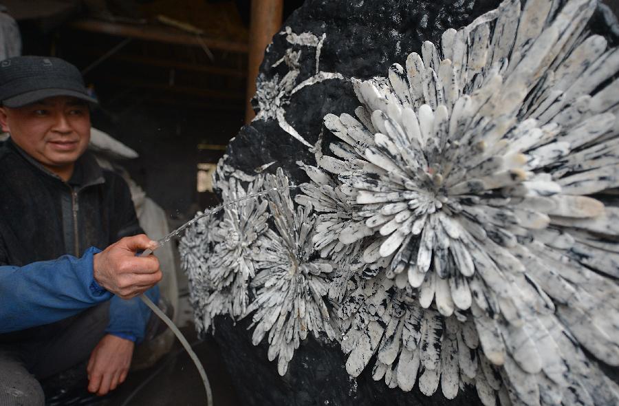 A craftsman named Yang Binwu washes a handicraft made of chrysanthemum stone in a workshop in Enshi, central China's Hubei Province, Jan. 12, 2013.(Xinhua/Song Wen) 