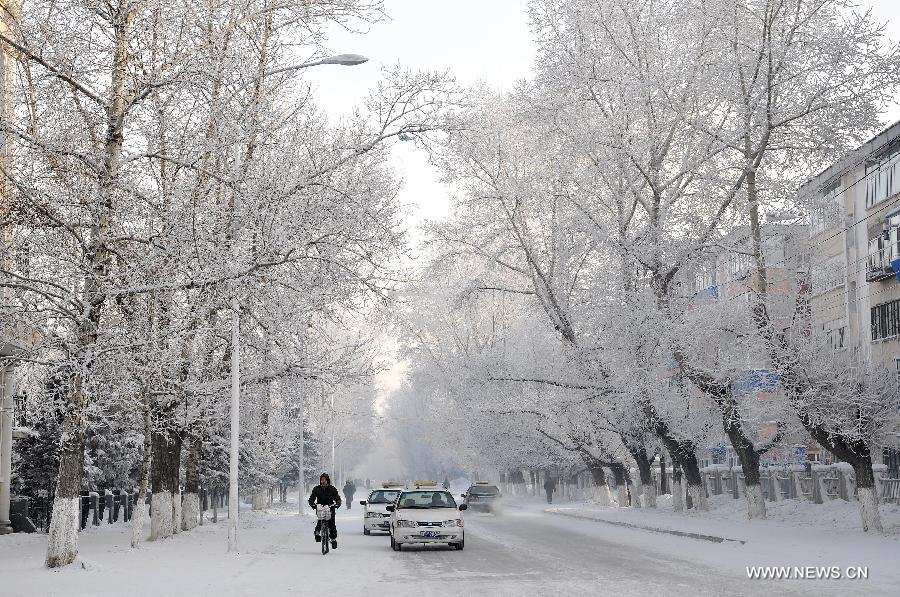 Photo taken on Jan. 12, 2013 shows rimed trees on a street in Yakeshi City, north China's Inner Mongolia Autonomous Region. (Xinhua/Yu Changjun) 