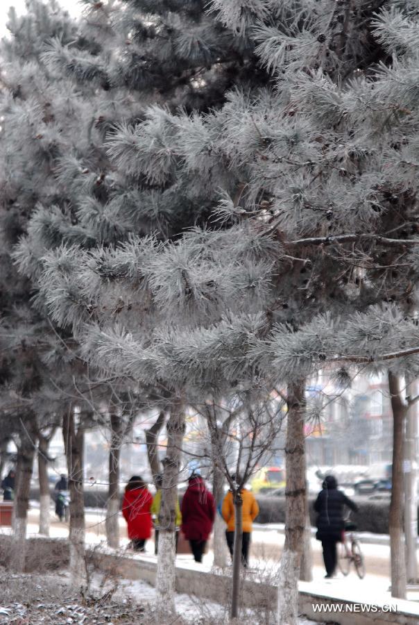 People walk on Huolinhe Street sided with rimed trees in Tongliao City, north China's Inner Mongolia Autonomous Region, Jan. 12, 2013. (Xinhua/Hao Xihui) 