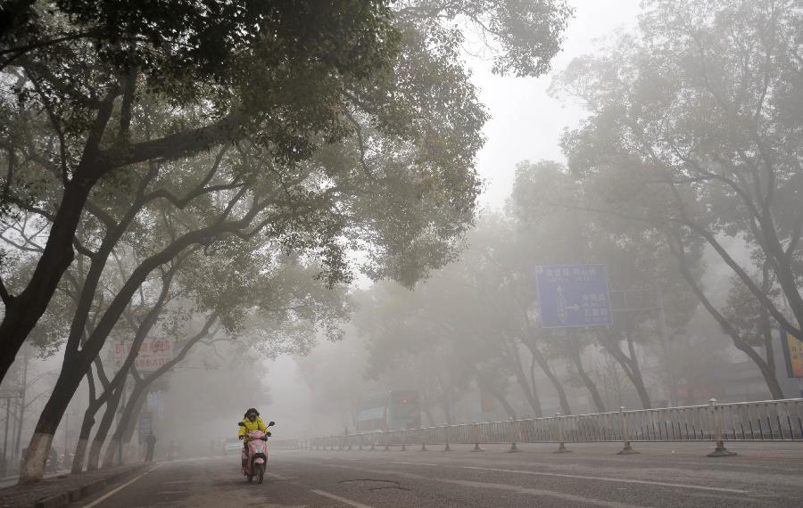 A woman rides on the fog-shrouded Chongxin Road in Guilin, southwest China's Guangxi Zhuang Autonomous Region, Jan. 13, 2013. Dense fog on Sunday hit China's east and central regions from the northeast to the south, causing serious air pollution. (Xinhua/Lu Bo'an)