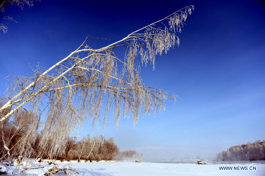 Photo taken on Jan. 10, 2013 shows rime scenery in Chonghu'er Township of Burqin County, northwest China's Xinjiang Uygur Autonomous Region. (Xinhua/Sadat)