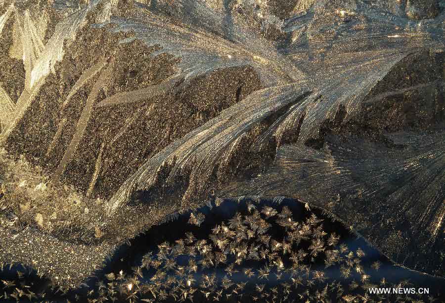 Photo taken on Jan. 11, 2013 shows the frost flowers on the window in Huma County, northeast China's Heilongjiang Province. (Xinhua/Zhou Changping)  