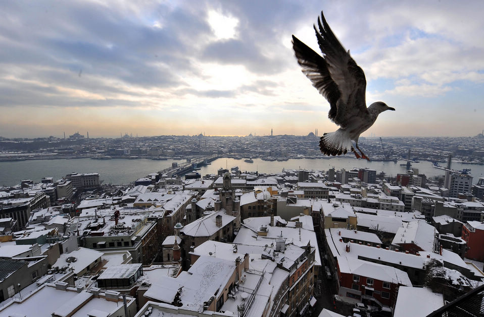 A picture taken from Galata Tower shows a seagull flying over the snow-covered old city of Istanbul on Jan. 9, 2013. Heavy snowfall blanketed Turkey's commercial hub Istanbul, a city of 15 millions, paralyzing daily life, disrupting air traffic and land transport. (Xinhua/AFP)