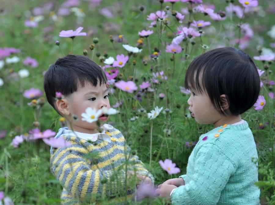 Children play at a Kelsang flower (cosmos bipinnatus) field in Nanning, capital of south China's Guangxi Zhuang Autonomous Region, Jan. 16, 2013. The kelsang flower, or cosmos in scientific name, has entered its bloom season recently, attracting numbers of visitors. (Xinhua/Zhou Hua) 