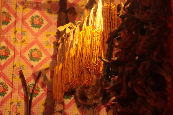 This photo on December 20, 2012, shows dried corn and hot peppers in a house made of snow, which contains a collection of local rural furniture, daily articles and hunting products in Harbin, northeast China's Heilongjiang Province. (CRIENGLISH.com)