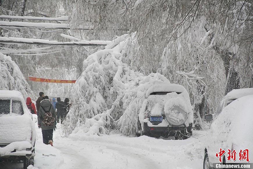 Heavy snow storm hits Hegang, Heilongjiang from Nov. 11 to 13, 2012. The precipitation reached 59 millimeters and the depth of snow reached 50 millimeters, breaking the record since 1955. Snow covers road and cars on Nov. 13, 2012. (China News/ Sun Ye)