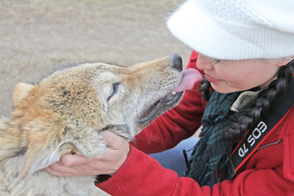 Li Weiyi bids farewell to Green as she sets him free to the wild. (China Daily)