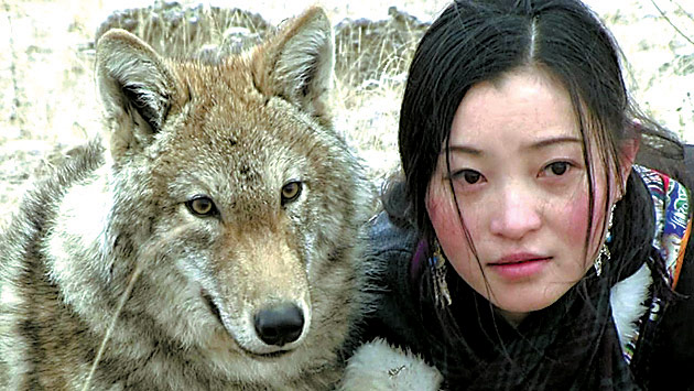 Li Weiyi and the wolf Green huddle near a rabbit hole, as she trains the animal to hunt. (China Daily)