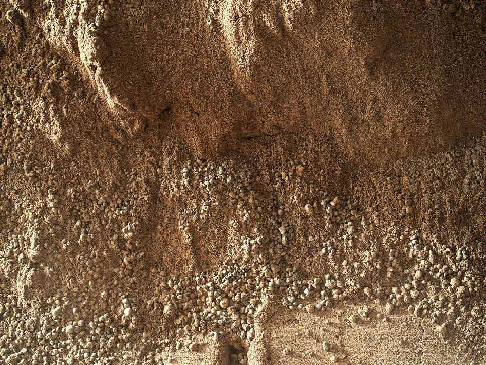 This image shows the wall of a scuffmark NASA's Curiosity made in a windblown ripple of Martian sand with its wheel. The upper half of the image shows a small portion of the side wall of the scuff and a little bit of the floor of the scuff (bottom of this image). The prominent depression with raised rims at the bottom center of the image was formed by one of the treads on Curiosity's front right wheel. (Photo/NASA)