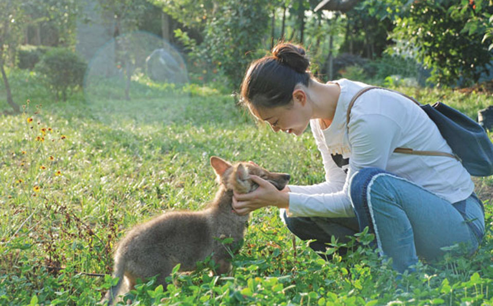 A young artist's life with wolf cub