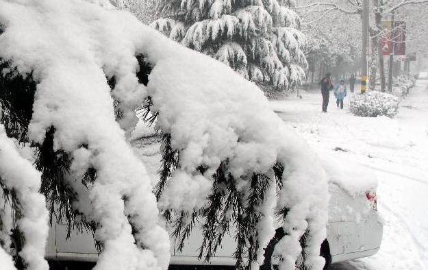 Snowfall hits Beijing, Jinan