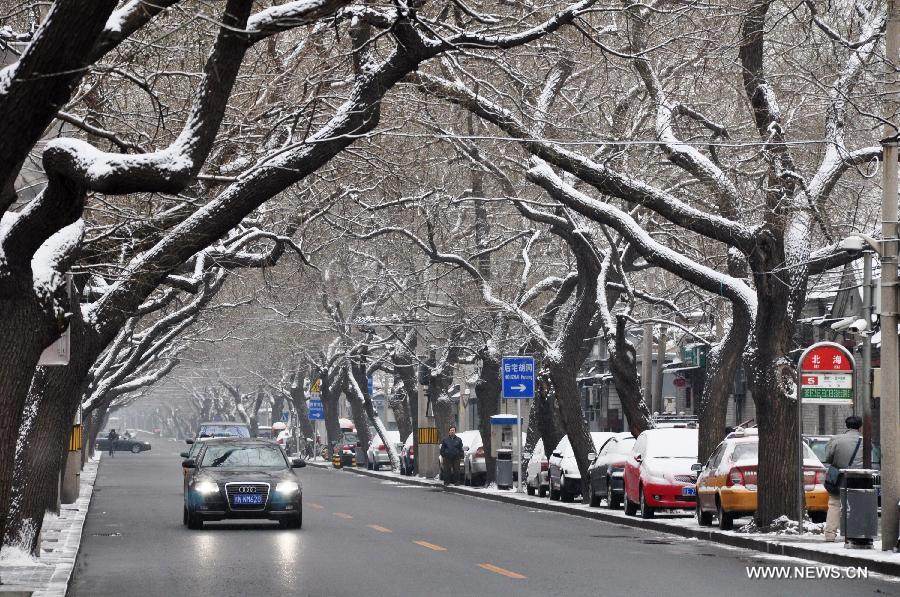 Vehicles run under snow-covered trees in Beijing, capital of China, Jan. 20, 2013. A snow hit the capital city on Sunday. (Xinhua/Wang Junfeng) 