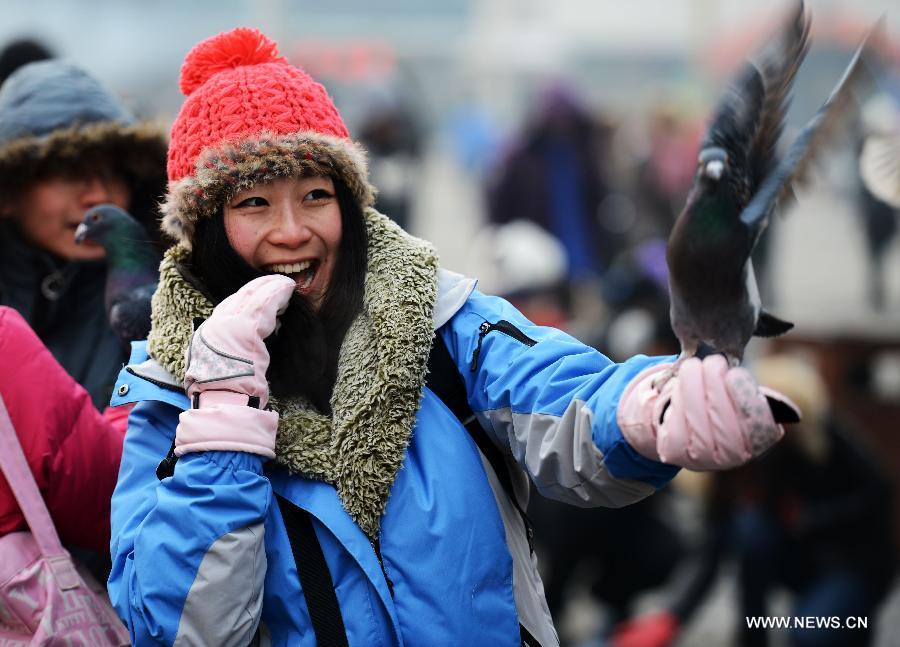 People play with pigeons in Harbin, capital of northeast China's Heilongjiang Province, Jan. 20, 2013. The temperature rise in Harbin enabled citizens to play with snow and ice in the outdoors. (Xinhua/Wang Kai)  