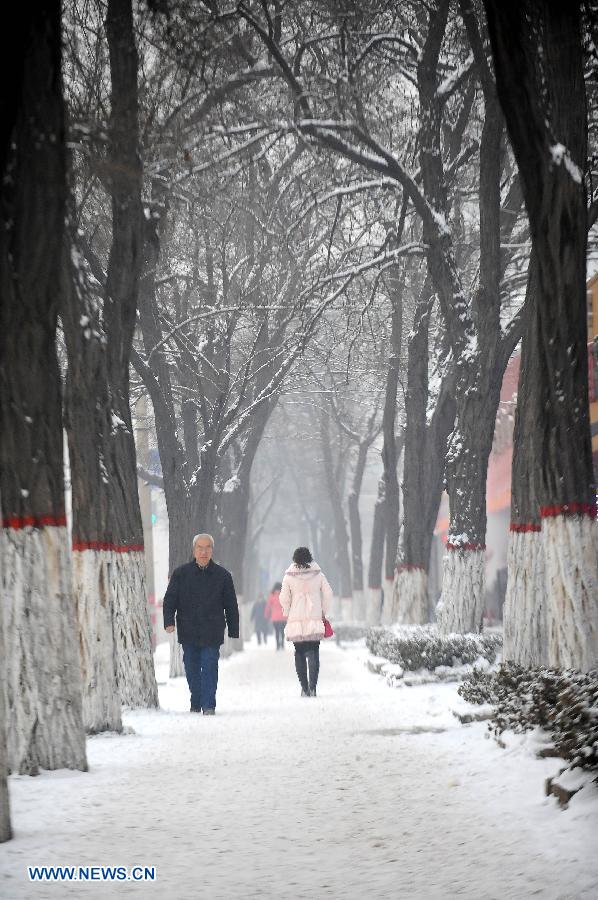 Citizens walk on a snow-covered road in Taiyuan City, capital of north China's Shanxi Province, Jan. 21, 2013. Snowfall hit Taiyuan at the weekend. (Xinhua/Fan Minda)
