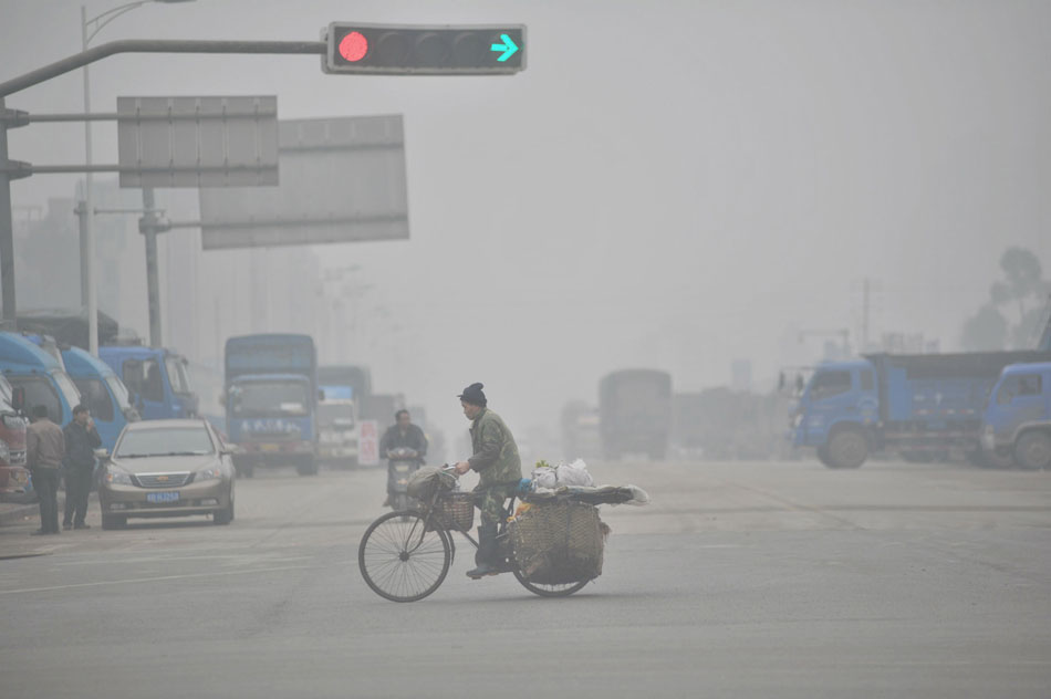 A man rides on a fog-shrouded road in Liuzhou, southwest China's Guangxi Zhuang Autonomous Region, Jan. 13, 2013. Dense fog hit China's east and central regions from the northeast to the south, causing serious air pollution. (Xinhua/Li Hanchi)