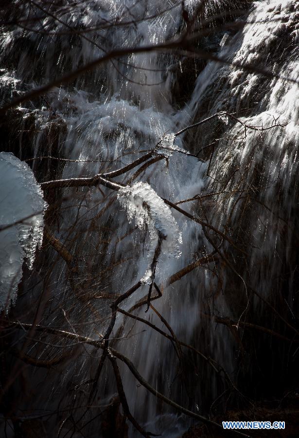 Photo taken on Jan. 19, 2013 shows an icefall scenery at the Jiuzhaigou Valley in Jiuzhaigou County, southwest China's Sichuan Province. (Xinhua/Jiang Hongjing) 