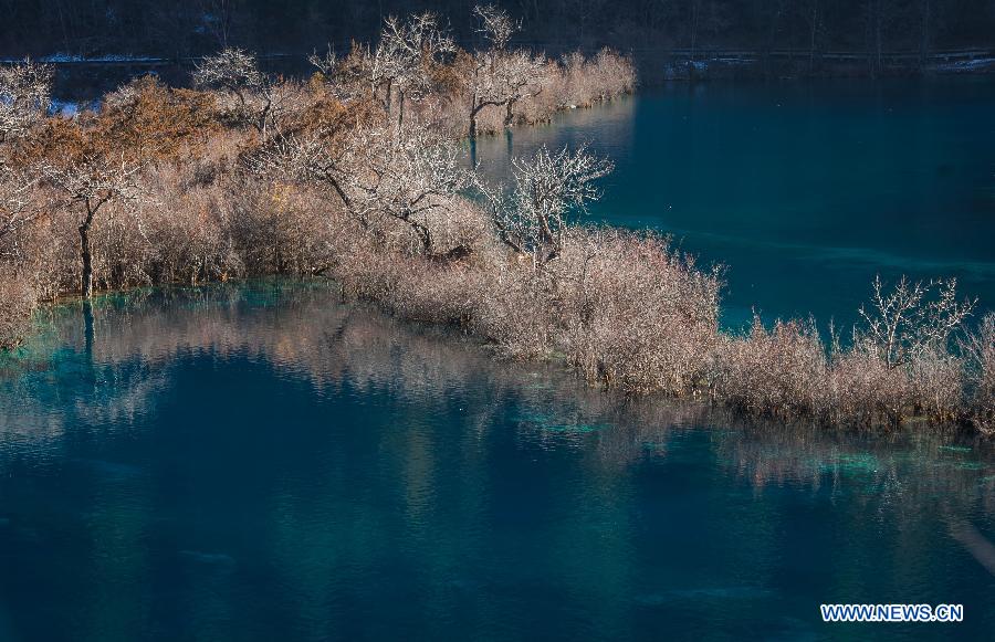 Photo taken on Jan. 18, 2013 shows the head waters of Shuzheng Waterfall at the Jiuzhaigou Valley in Jiuzhaigou County, southwest China's Sichuan Province. (Xinhua/Jiang Hongjing) 