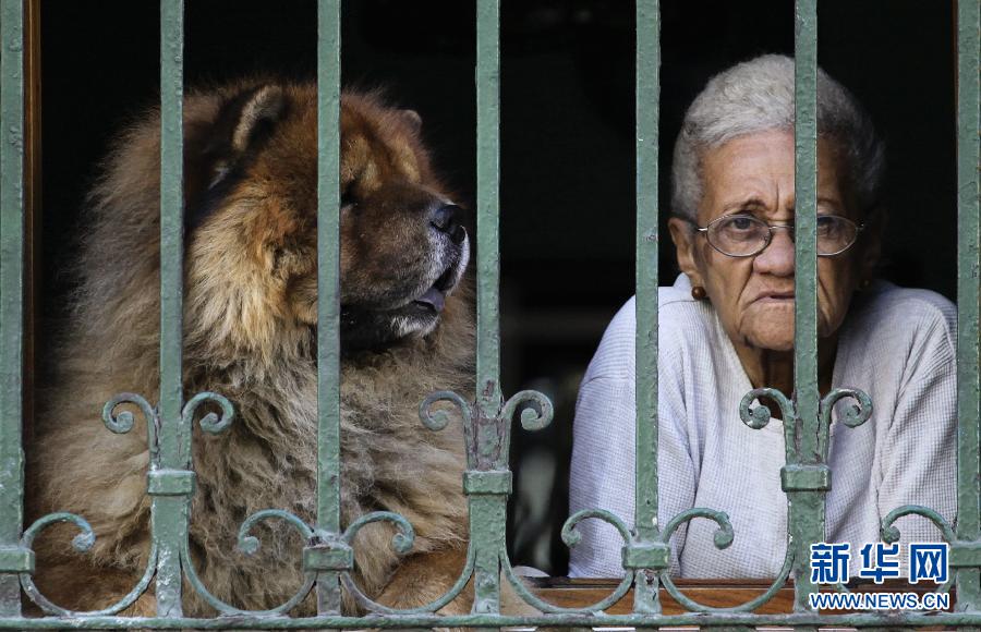 An old lady and her dog look outside the window in Havana, Cuba, Jan. 15, 2013. (Xinhua/Reuters)