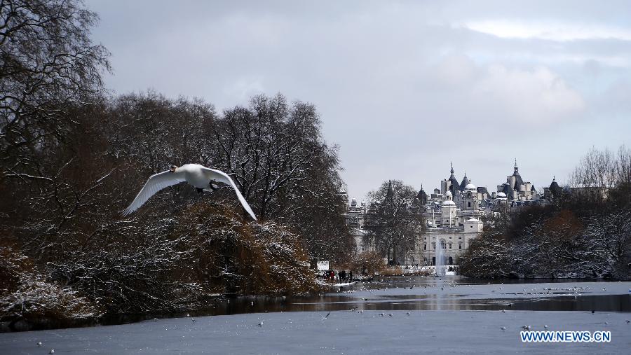 The St. James's Park is seen after a snowfall in London, Britain, Jan. 21, 2013. (Xinhua/Wang Lili) 
