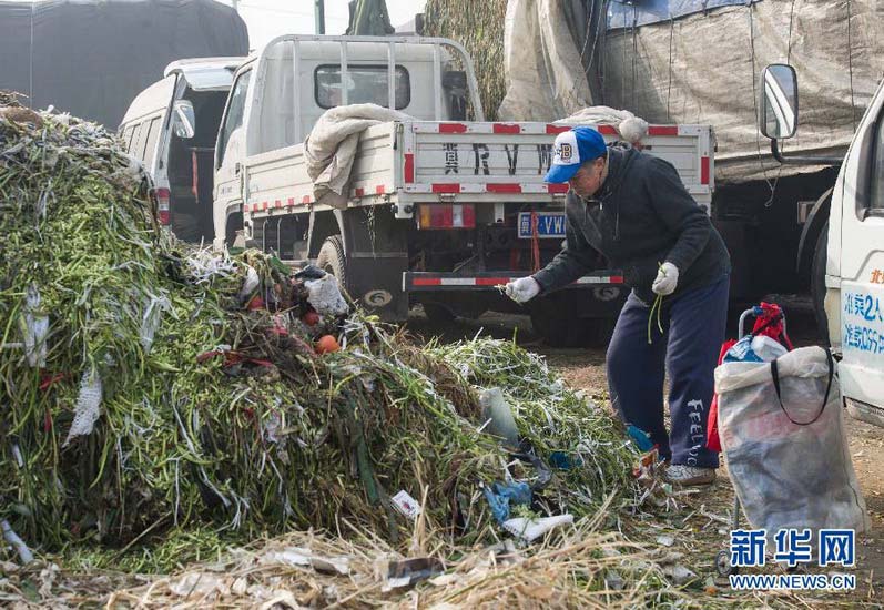 An old man picks up left-over vegetables that were discarded at Xinfadi vegetable warehouse in Beijing on Jan. 18.  A few people come here every day to pick up vegetables among rubbish. (Photo/Xinhua)